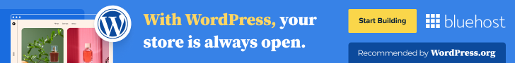 5 proven ways to make money blogging with Bluehost